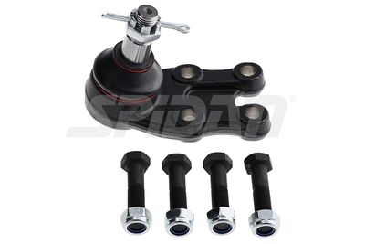 ARTICULATIE SARCINA/GHIDARE