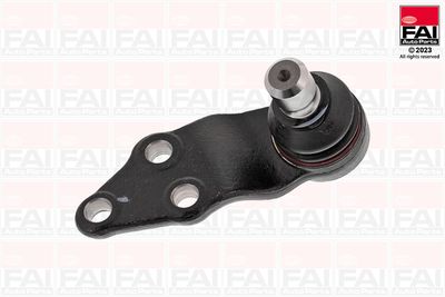 Шарнири FAI AutoParts SS10786