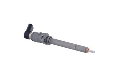 INJECTOR REMANTE 002003000081R 47