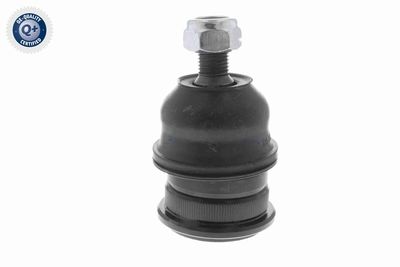 CAP DE BARA ACKOJA A321160 6