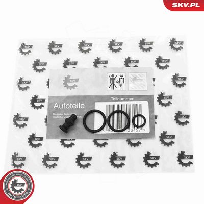 CHIT REPARATIE UNITATE POMPA-DIUZA ESEN SKV 53SKV197