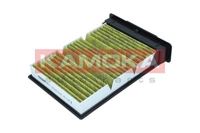 Filter, cabin air 6080121