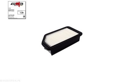 Luftfilter AUTOMEGA 250051910
