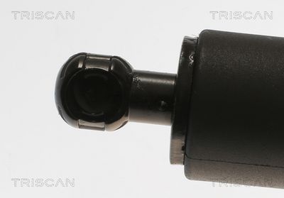 AMORTIZOR PORTBAGAJ TRISCAN 871011355 1