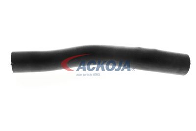 FURTUN RADIATOR ACKOJA A261604 35