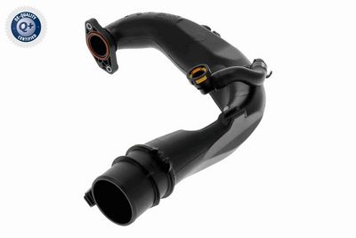 FURTUN EAR SUPRAALIMENTARE VAICO V461683 1