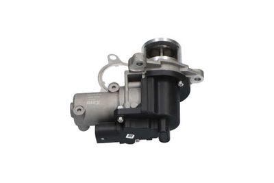 SUPAPA EGR Kavo Parts EEG3021 10