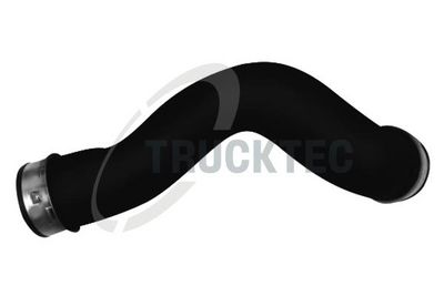 FURTUN EAR SUPRAALIMENTARE