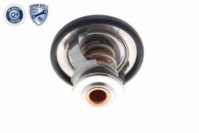 TERMOSTAT LICHID RACIRE ACKOJA A70990031 8