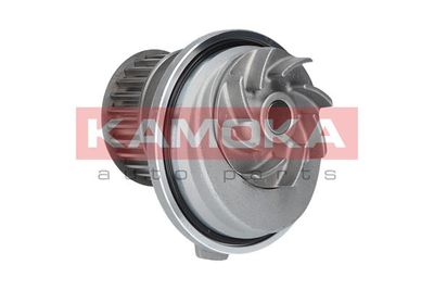 Water Pump, engine cooling T0069