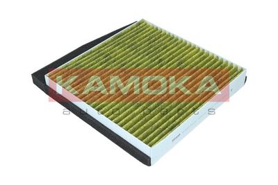 Filter, cabin air 6080089