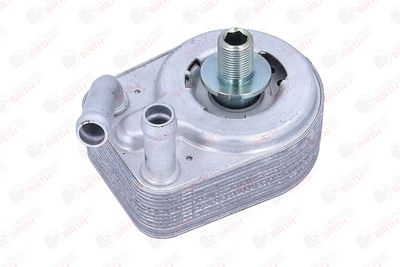 RADIATOR ULEI ULEI MOTOR BIRTH 80822 6