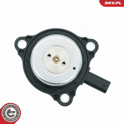 ESEN SKV - Centrálny magnet pre nastavovanie vačkového hriadeľa MERCEDES-BENZ, MITSUBISHI, NISSAN, RENAULT, … , 39SKV905