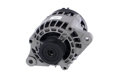 GENERATOR / ALTERNATOR REMANTE 011003000013R 61