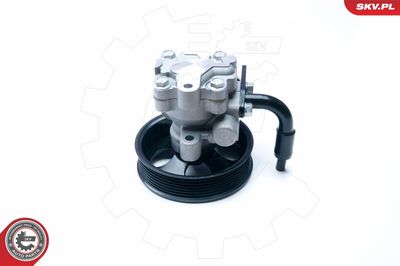 Hydraulic Pump, steering 10SKV201
