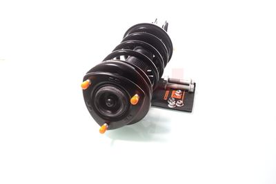 ANSAMBLU TELESCOP ARC GH GH355289C01 18