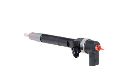 INJECTOR REMANTE 002003001108R 18