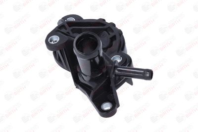 FLANSA LICHID RACIRE BIRTH 81890 9