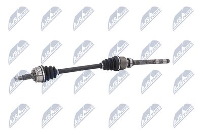 PLANETARA NTY NPWCT073 22