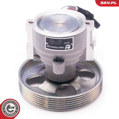 Hydraulikpumpe, Lenkung