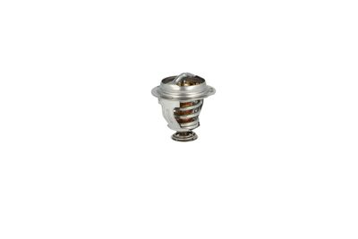 TERMOSTAT LICHID RACIRE NRF 725209 21