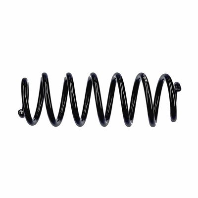 ARC SPIRAL EIBACH R13605 19