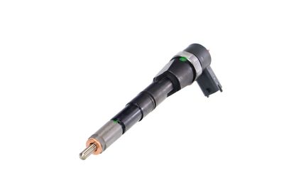 INJECTOR REMANTE 002003001674R 61