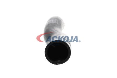 FURTUN EAR SUPRAALIMENTARE ACKOJA A529600 47