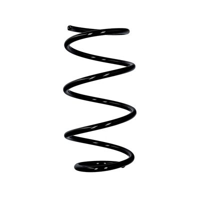 ARC SPIRAL EIBACH R10129 25