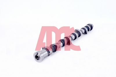 NOCKENWELLE AMC 647276 1