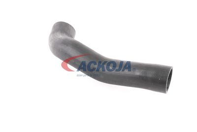 FURTUN EAR SUPRAALIMENTARE ACKOJA A379600 41