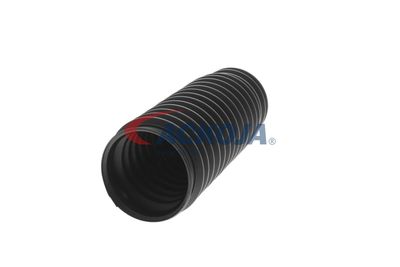 ANSAMBLU BURDUF DIRECTIE ACKOJA A530007 27