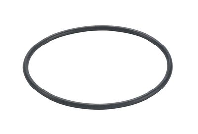 FILTRU COMBUSTIBIL VALEO 587901 3