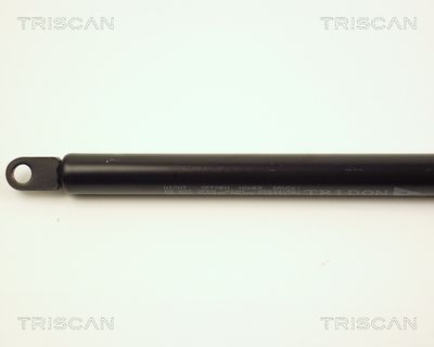 Amortizor capota TRISCAN 8710 29103