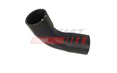 FURTUN EAR SUPRAALIMENTARE FAST FT01262 1