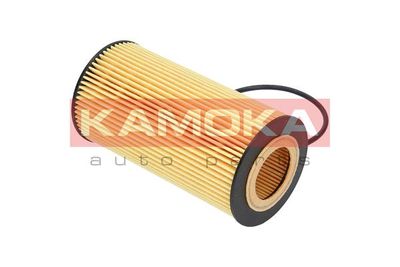 Oil Filter F110101