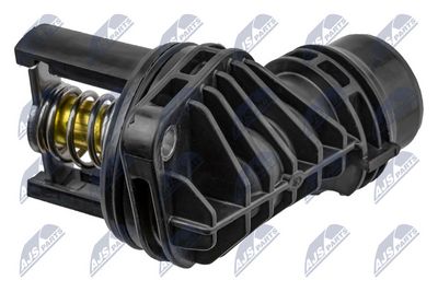 TERMOSTAT LICHID RACIRE NTY CTMPL026 1