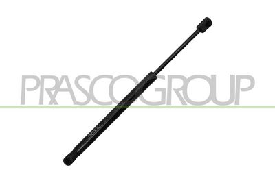 GASFEDER KOFFER-/LADERAUM