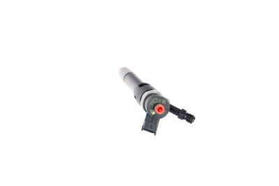 INJECTOR REMANTE 002003001319R 25