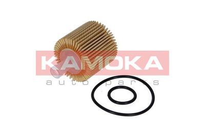 Oil Filter F112001