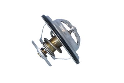 TERMOSTAT LICHID RACIRE NRF 725070 25