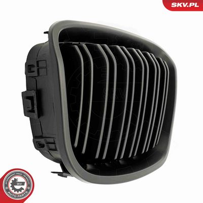 GRILA RADIATOR ESEN SKV 66SKV018 5