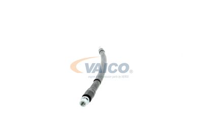 FURTUN FRANA VAICO V104223 24