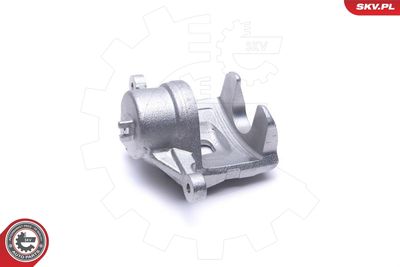 Brake Caliper 46SKV842