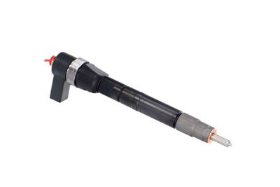 INJECTOR REMANTE 002003001146R 47