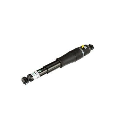 LUFTFEDERBEIN Arnott AS3066 49