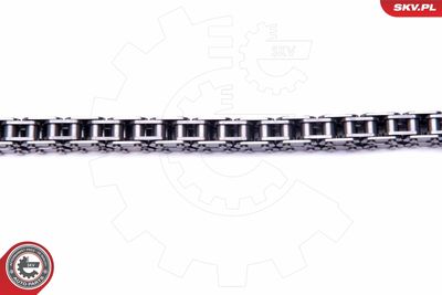 Timing Chain Kit 21SKV116