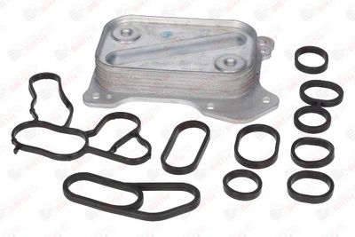 RADIATOR ULEI ULEI MOTOR BIRTH 8966 12