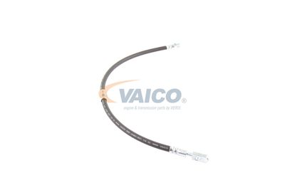 FURTUN FRANA VAICO V103077 48