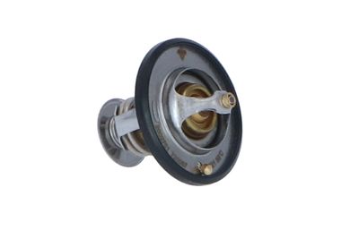 TERMOSTAT LICHID RACIRE NRF 725087 41
